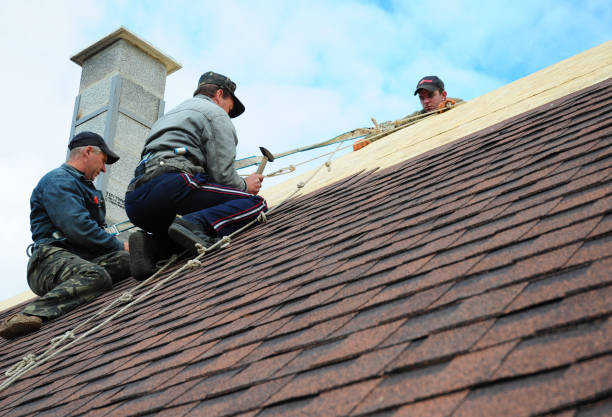 Best Roof Gutter Cleaning  in La Fayette, AL